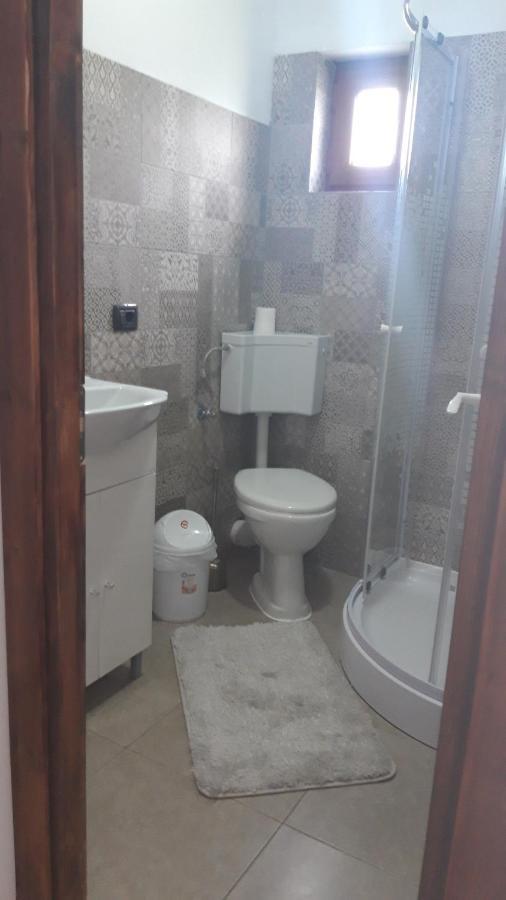 Отель Casa Viorica Statjunea Borsa Экстерьер фото