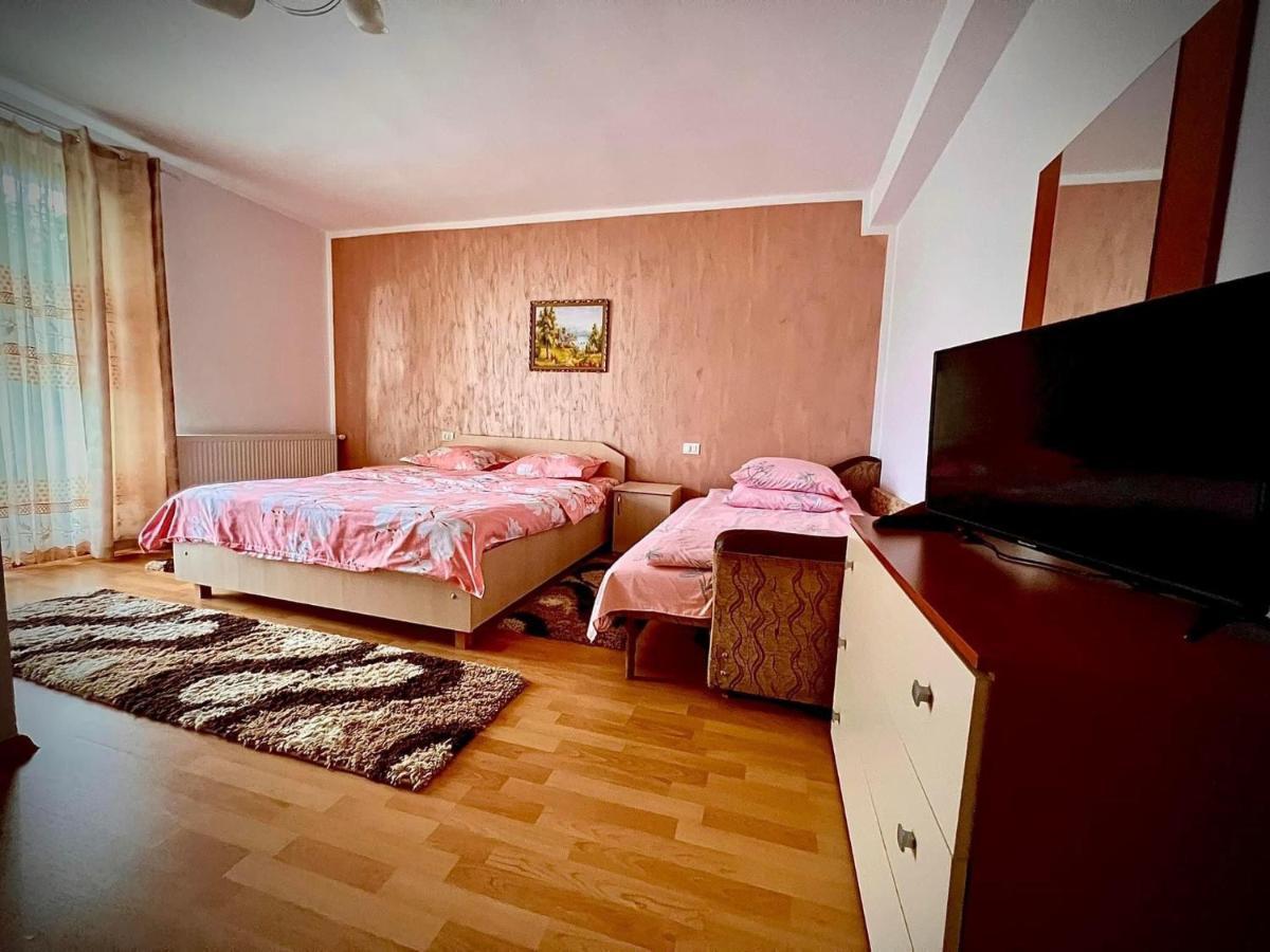 Отель Casa Viorica Statjunea Borsa Экстерьер фото