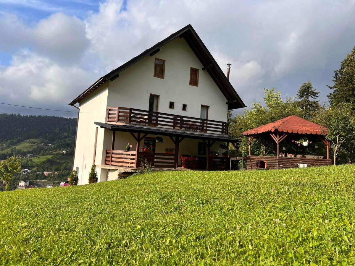 Отель Casa Viorica Statjunea Borsa Экстерьер фото