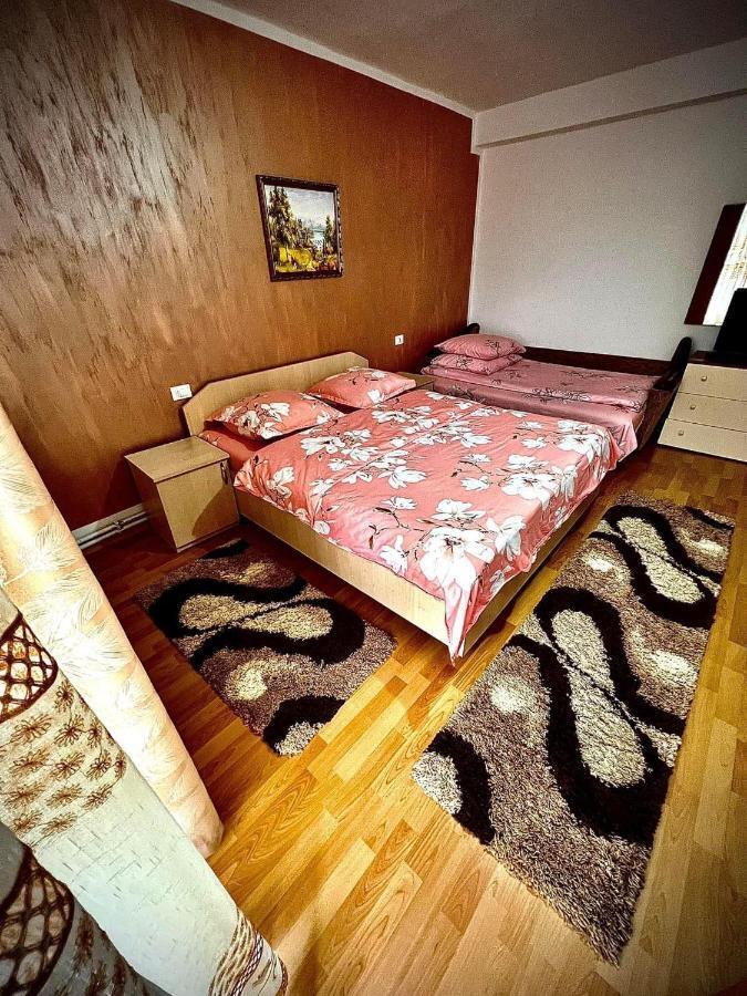 Отель Casa Viorica Statjunea Borsa Экстерьер фото