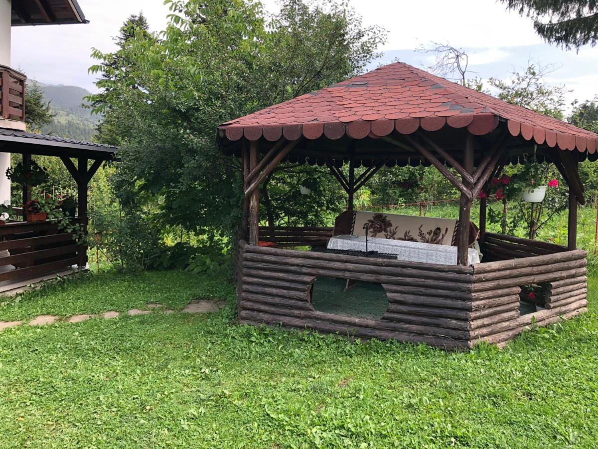 Отель Casa Viorica Statjunea Borsa Экстерьер фото