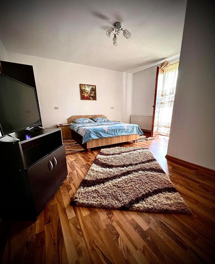 Отель Casa Viorica Statjunea Borsa Экстерьер фото