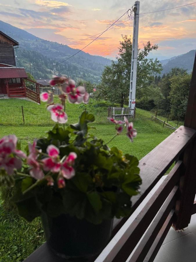 Отель Casa Viorica Statjunea Borsa Экстерьер фото