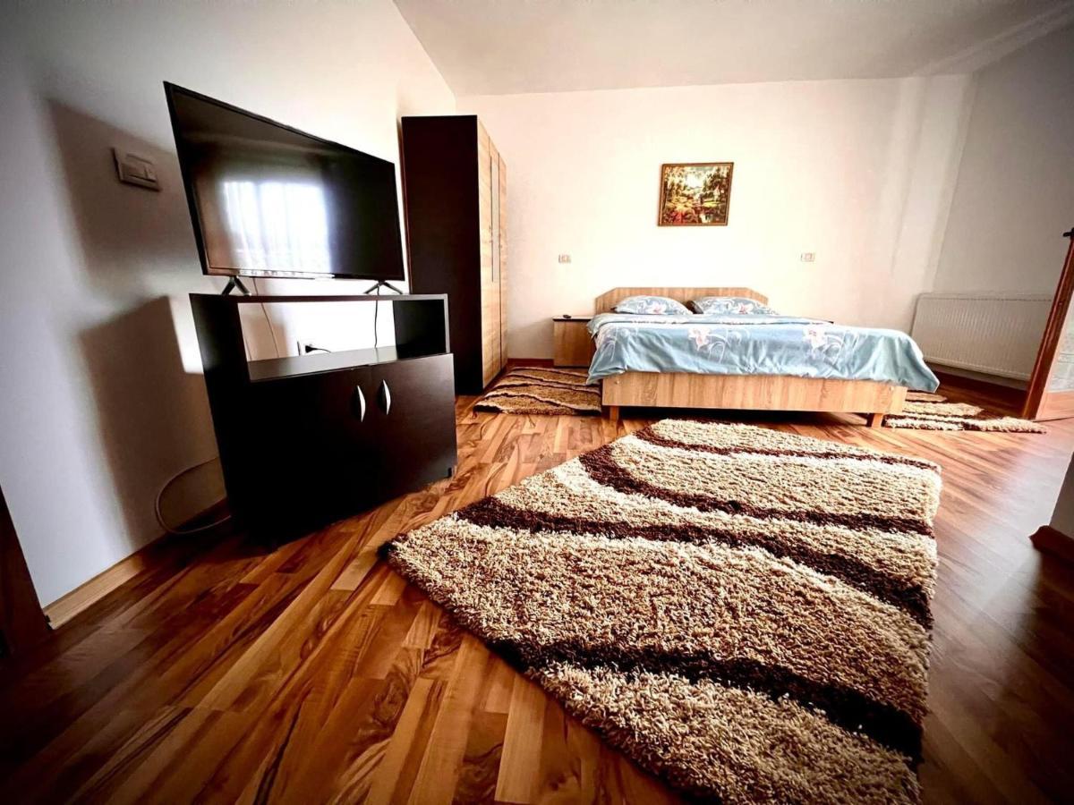 Отель Casa Viorica Statjunea Borsa Экстерьер фото