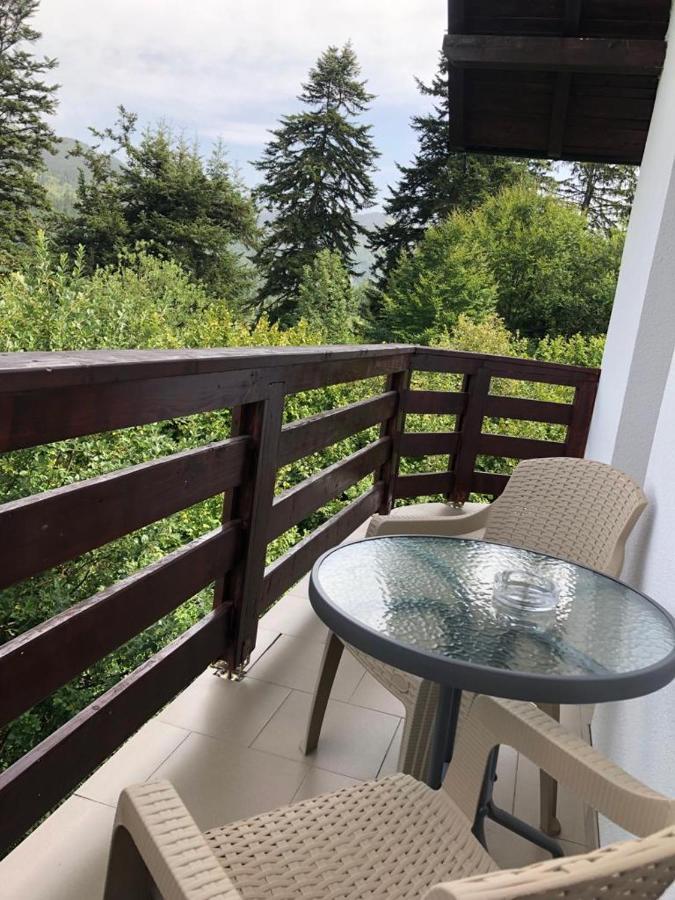 Отель Casa Viorica Statjunea Borsa Экстерьер фото