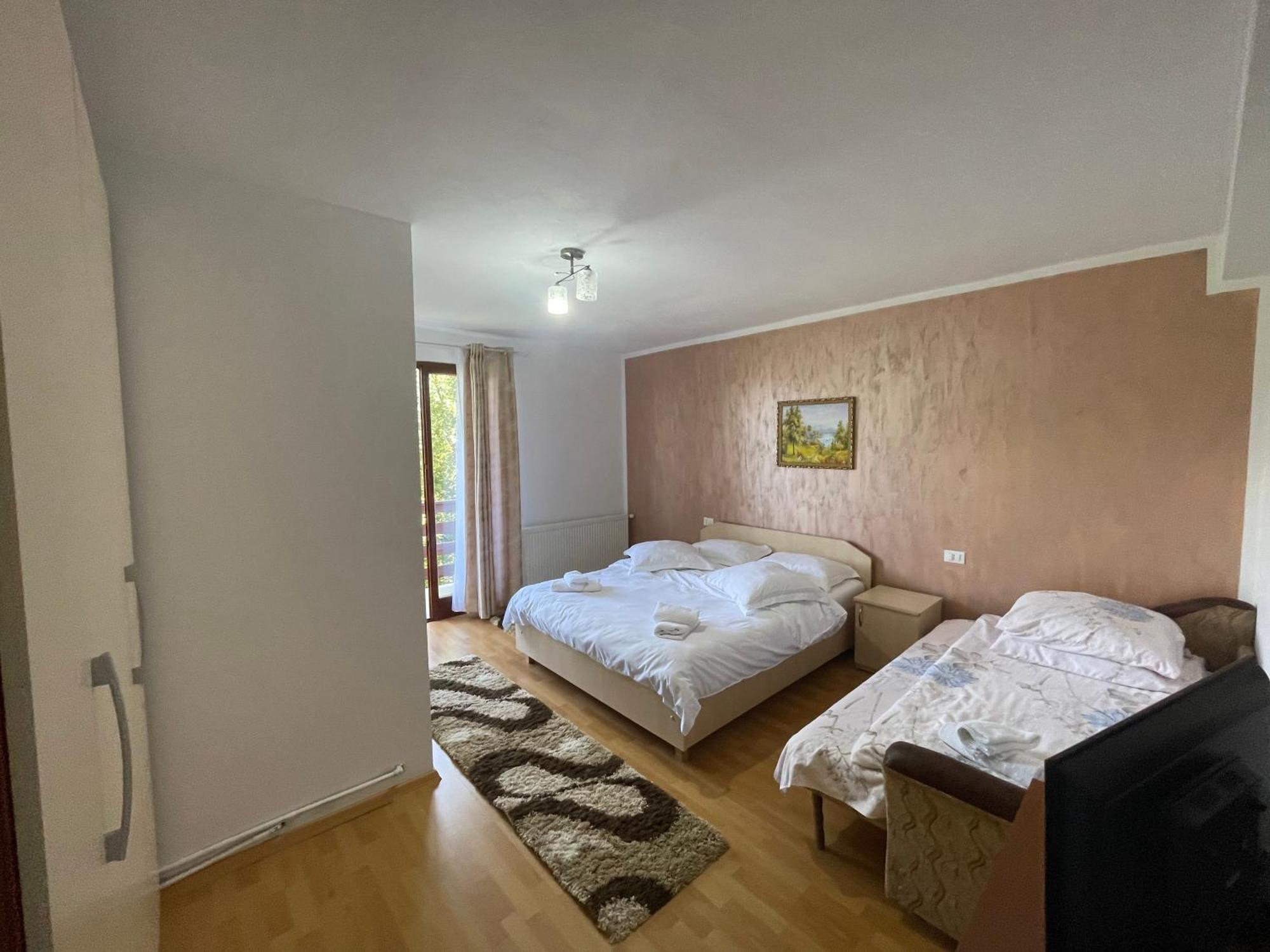 Отель Casa Viorica Statjunea Borsa Экстерьер фото