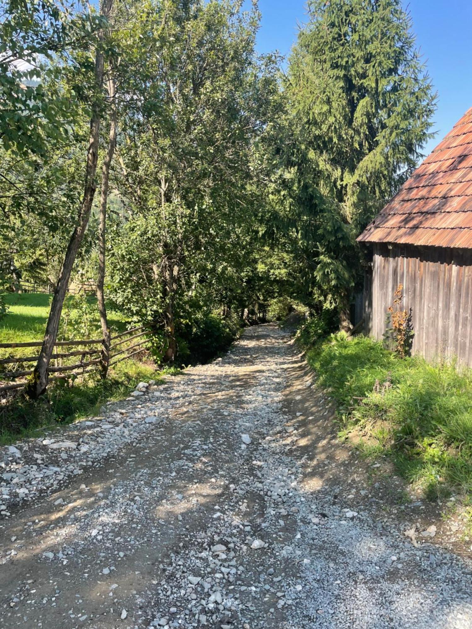 Отель Casa Viorica Statjunea Borsa Экстерьер фото